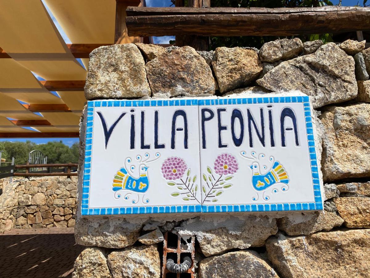 Villa Peonia Budoni Eksteriør bilde