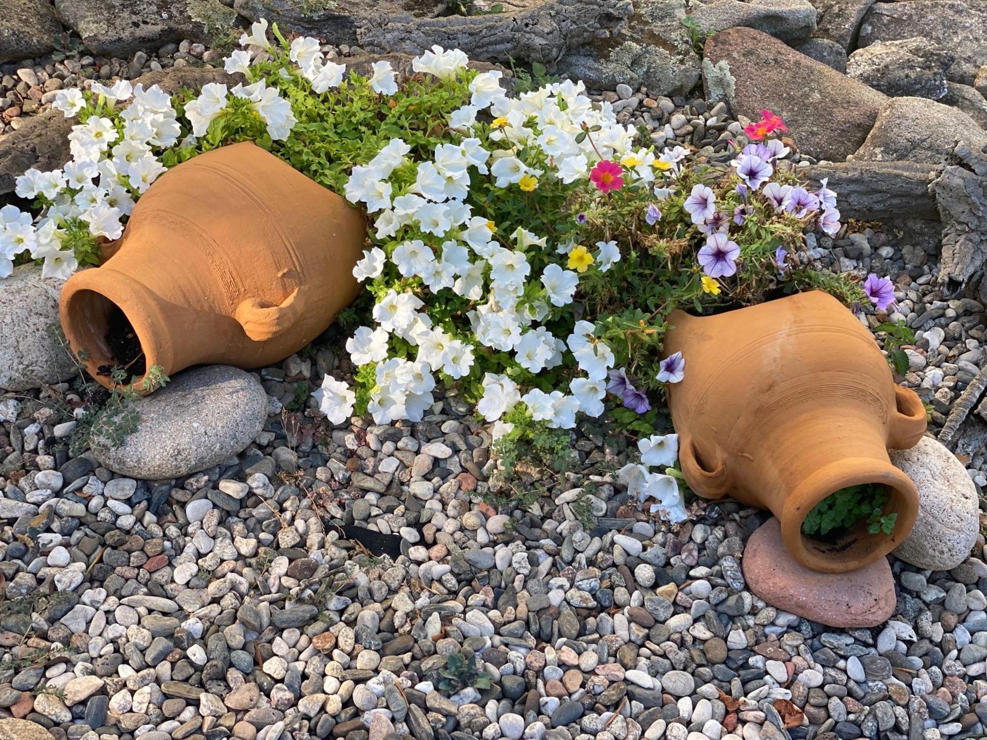 Villa Peonia Budoni Eksteriør bilde